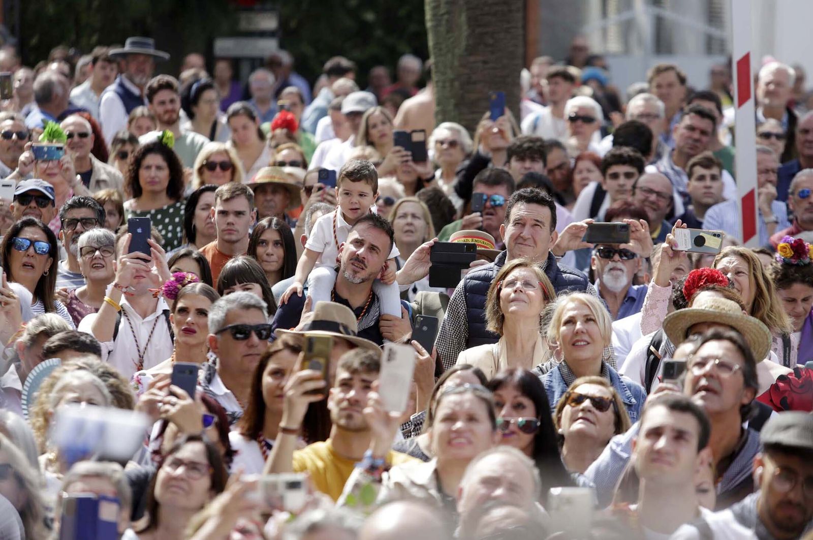 El Rocío 2023: Imágenes de los peregrinos de la Hermandad de Emigrantes