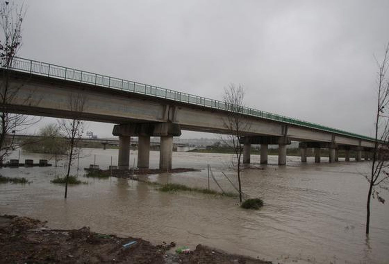 Foto: Victoria Hidalgo/Juan Carlos Muñoz