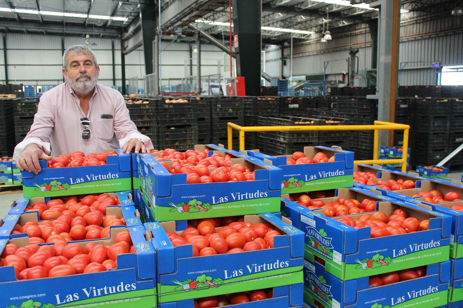El presidente de Las Virtudes, con una de las partidas de tomates de Conil.