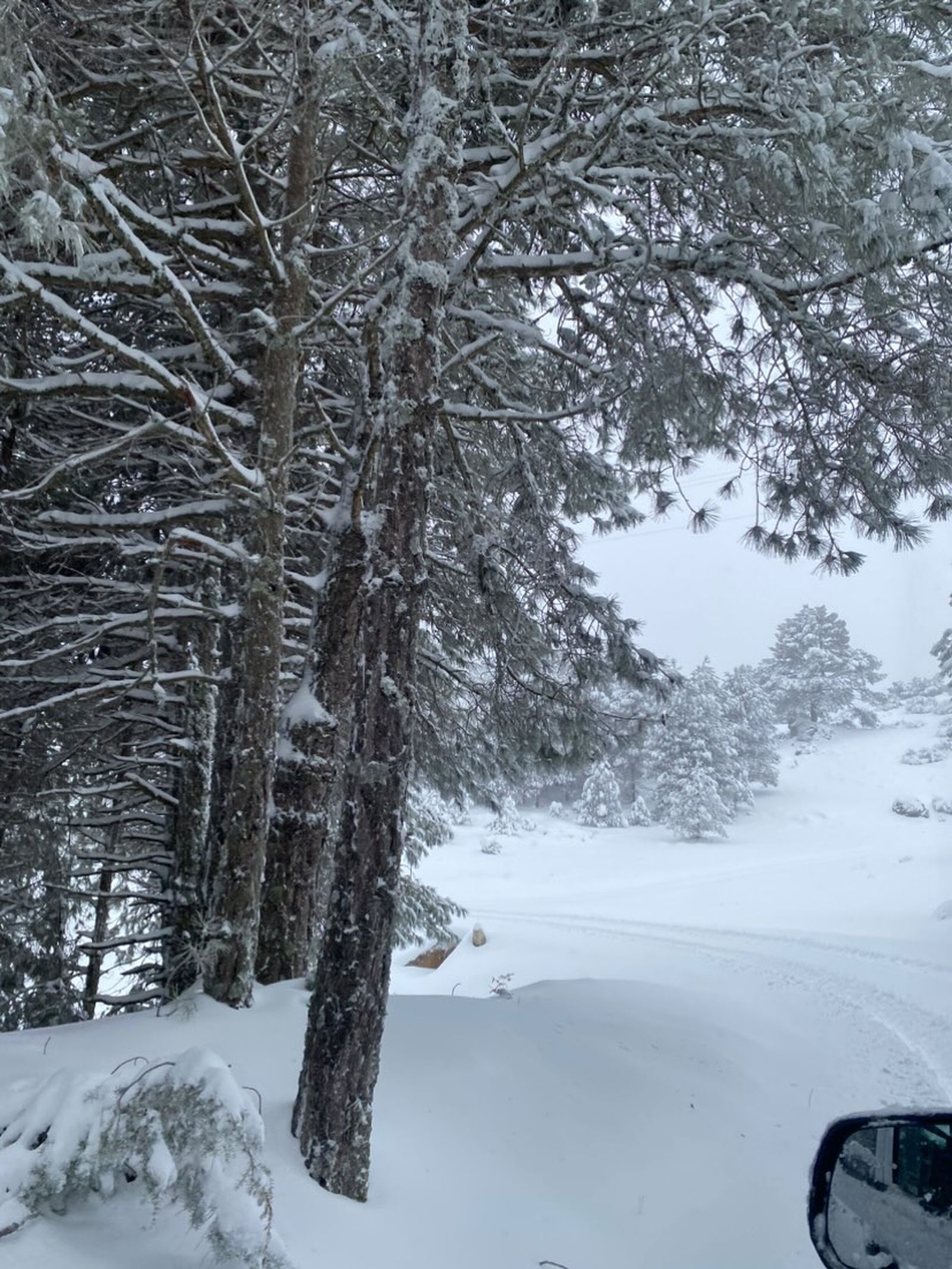 619519890_1270632485029368_7718951554802055965_n