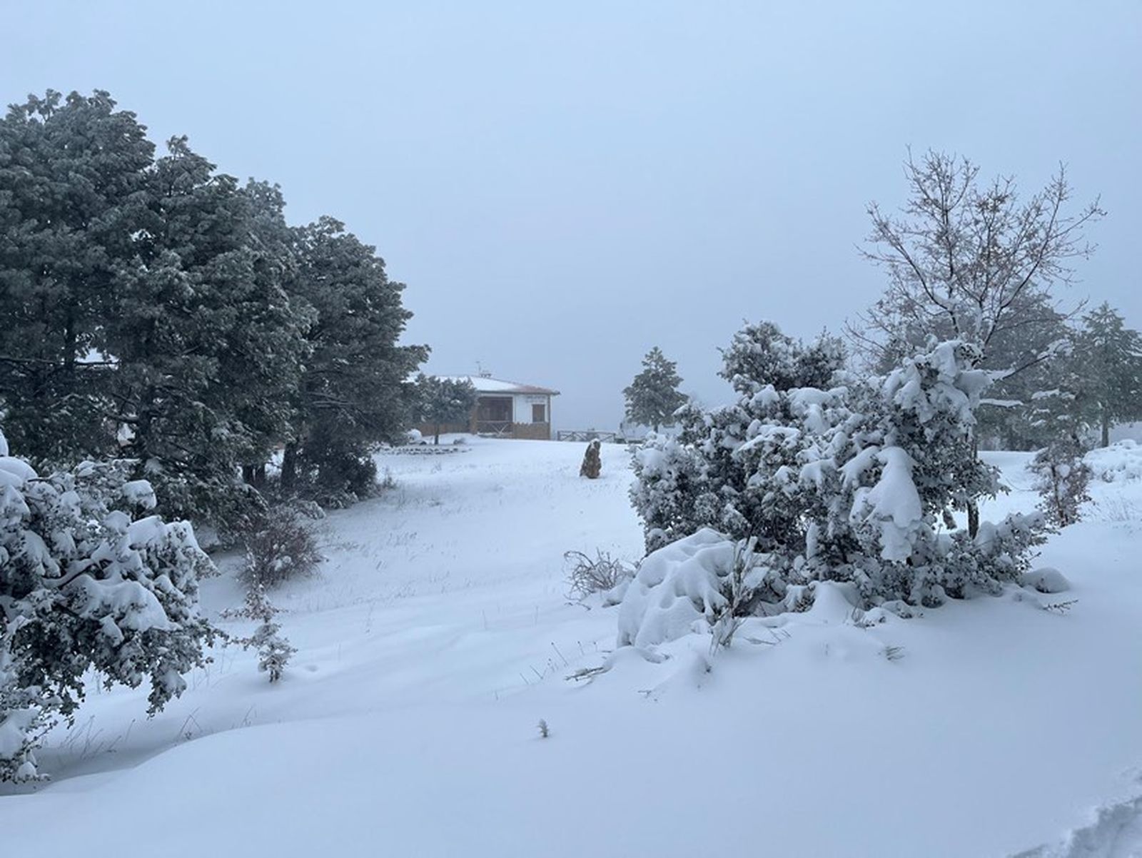 618486126_1643970273681573_2007604272200328985_n