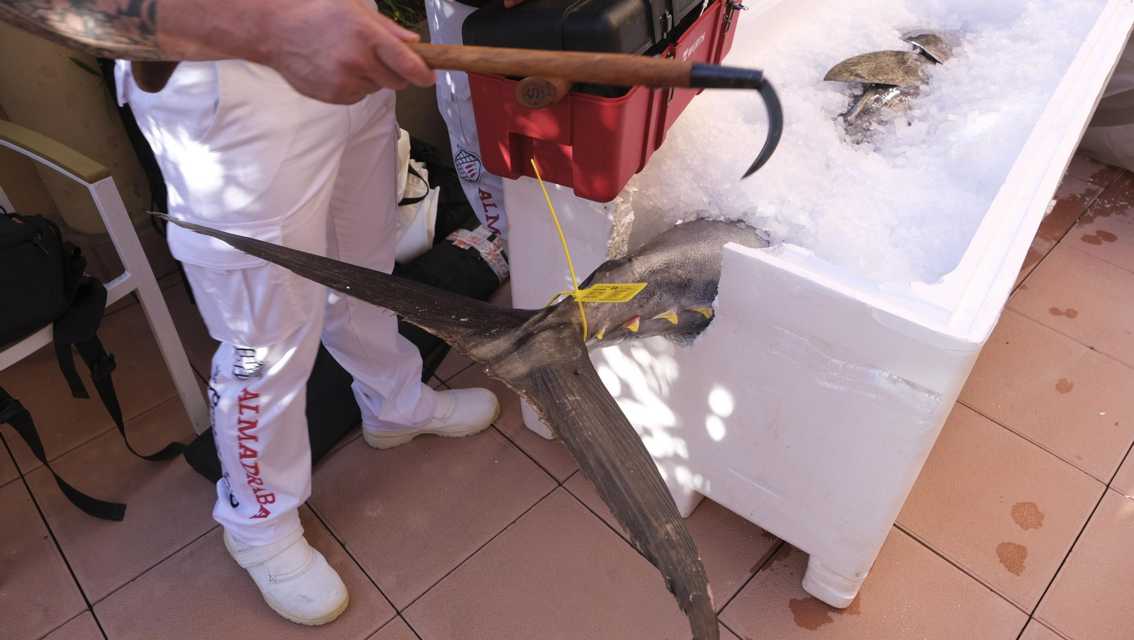 Jornadas del ronqueo del atún rojo de almadraba, en el Espacio Gastrómico Tony García.