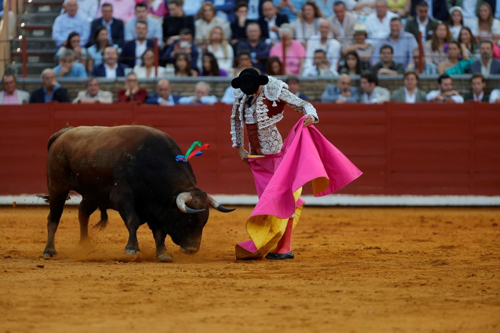 Las mejores fotos de la corrida de Morante, Ortega y Roca Rey en la Feria Taurina de Córdoba
