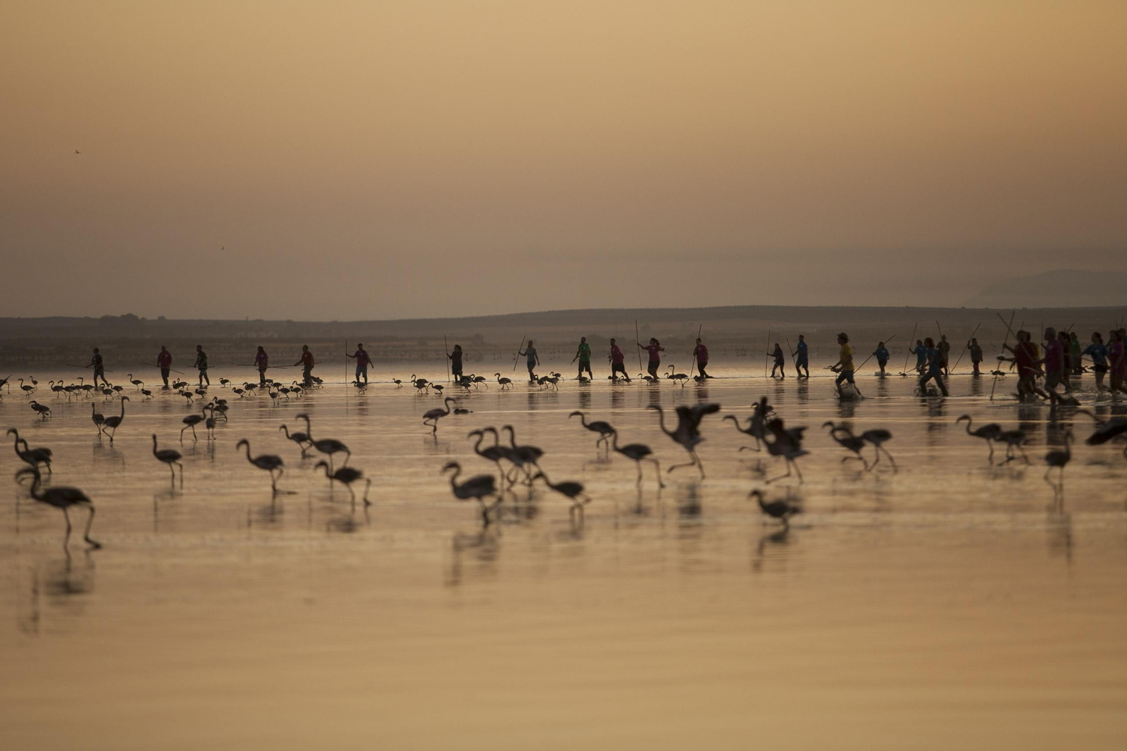 Amanecer flamenco en Fuente de Piedra