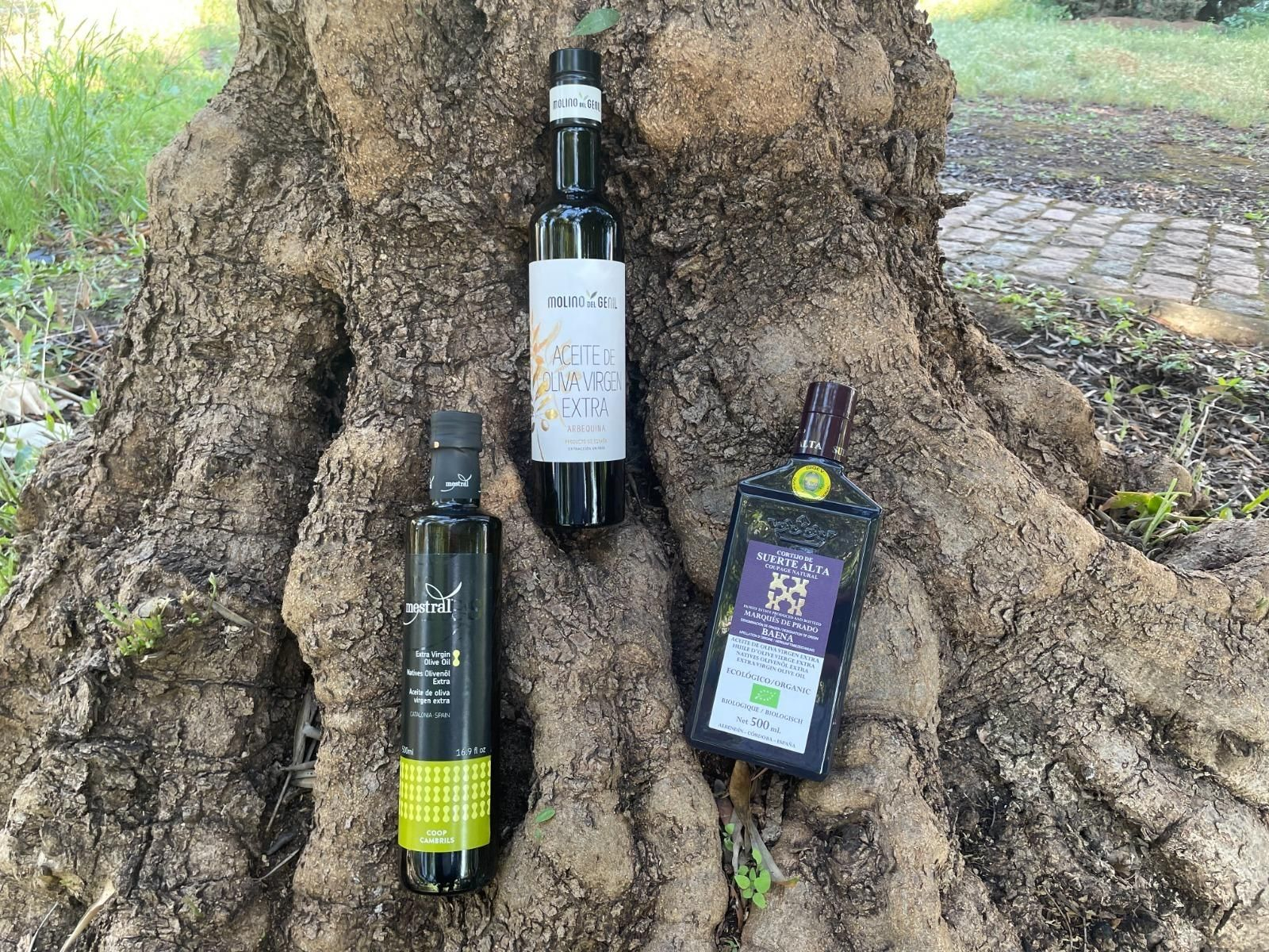 Muestras de los aceites premiados.