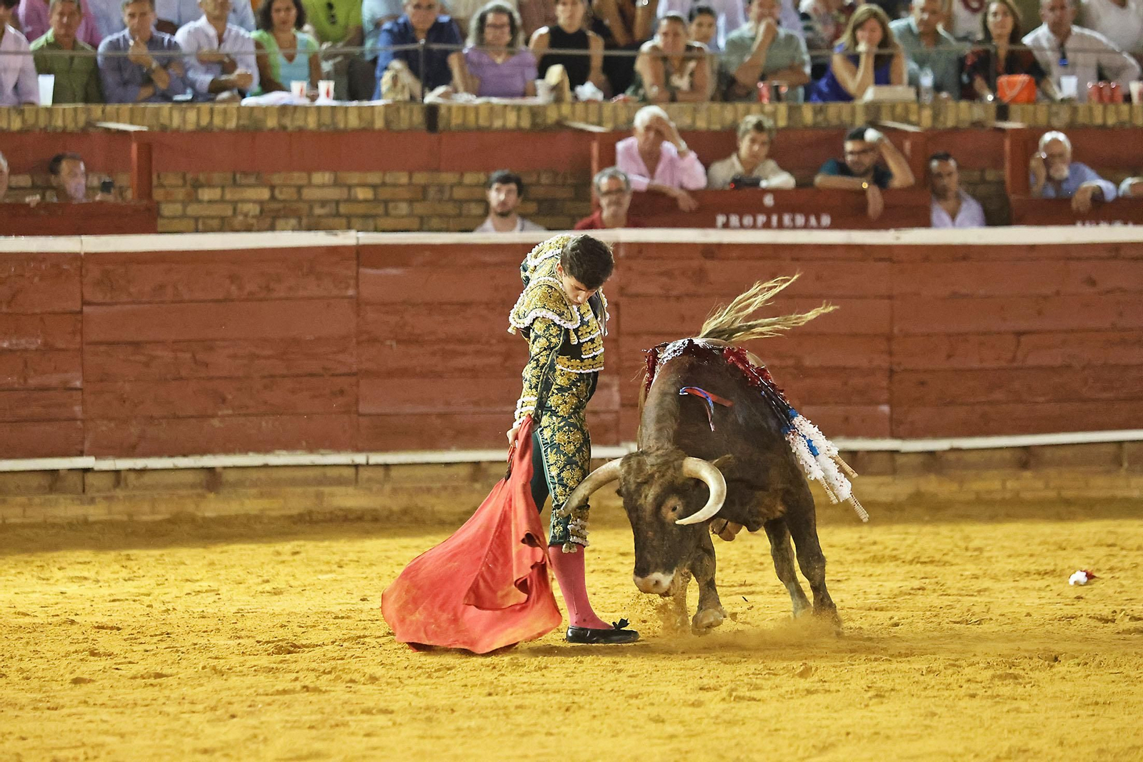 Toros La Merced 2024 Novillada con picadores(