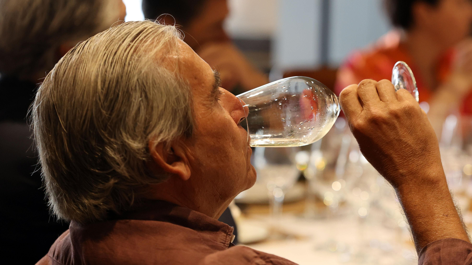Cata de vinos del Marco de Jerez por Luis Esteban