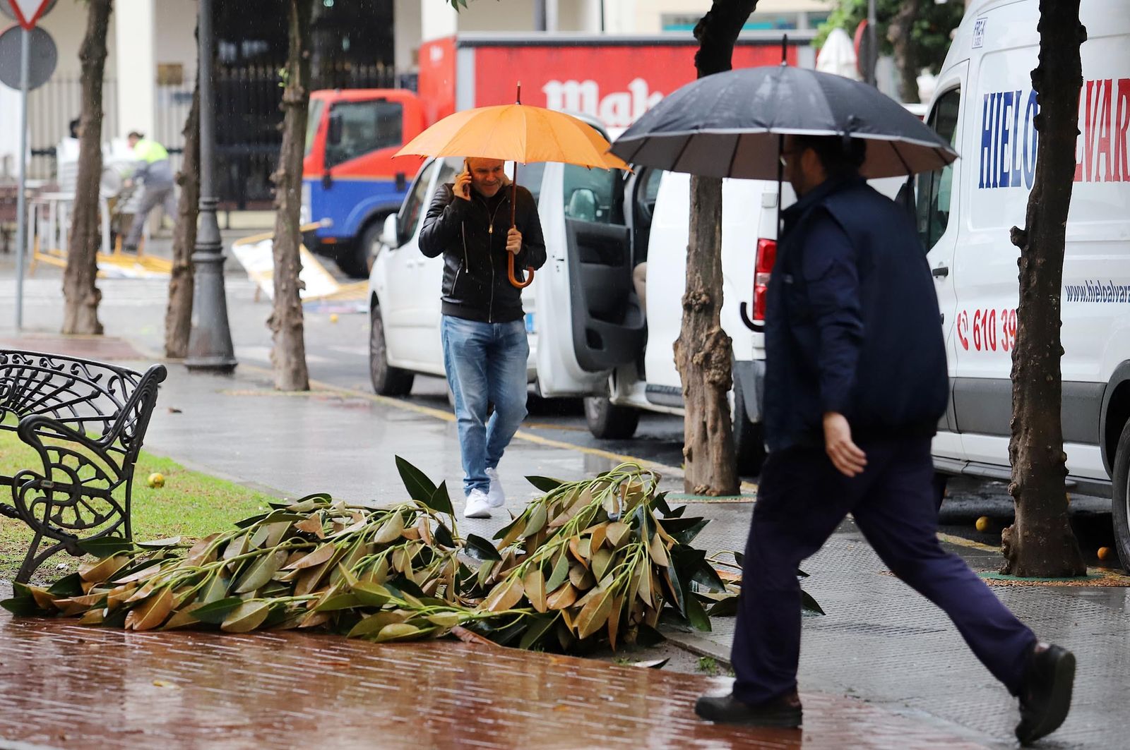Imágenes del lunes 5 de diciembre en Huelva
