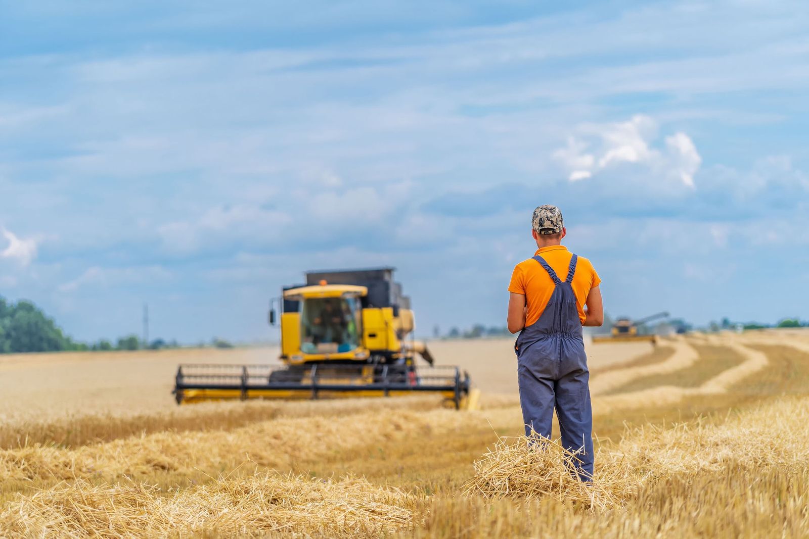 Un trabajador en el campo.