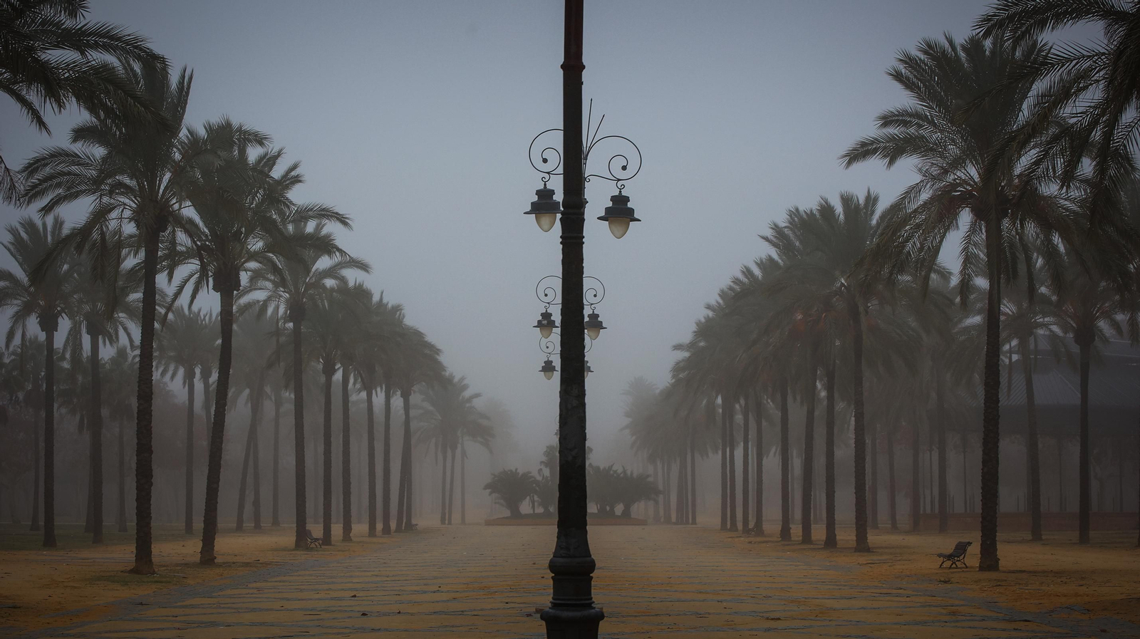 Densa niebla en Jerez