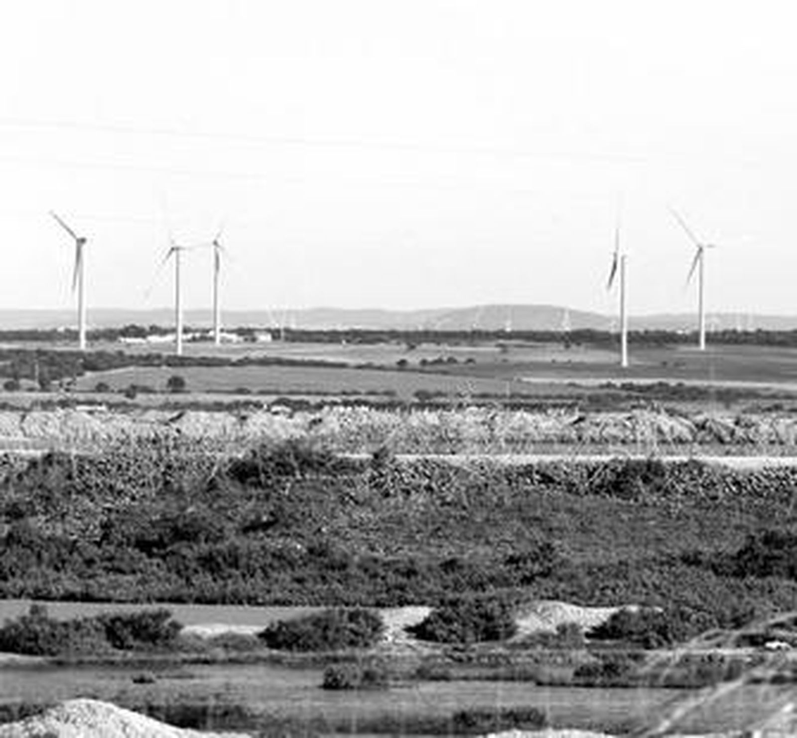 Aspecto de las salinas, con los aerogeneradores al fondo, vista desde la variante de Los Puertos.