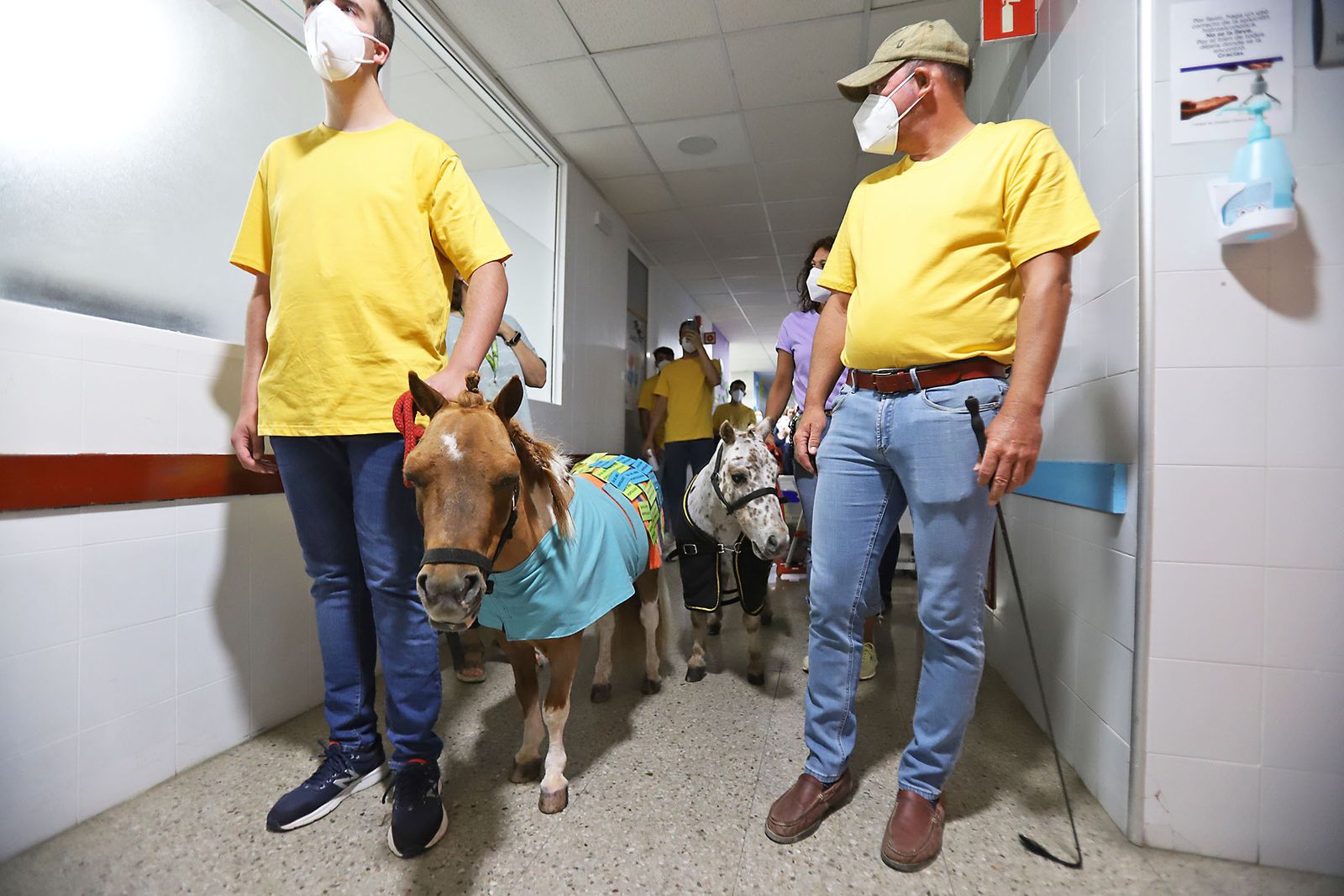 Los niños hospitalizados en el Juan Ramón Jiménez reciben la inesperada visita de unos caballos