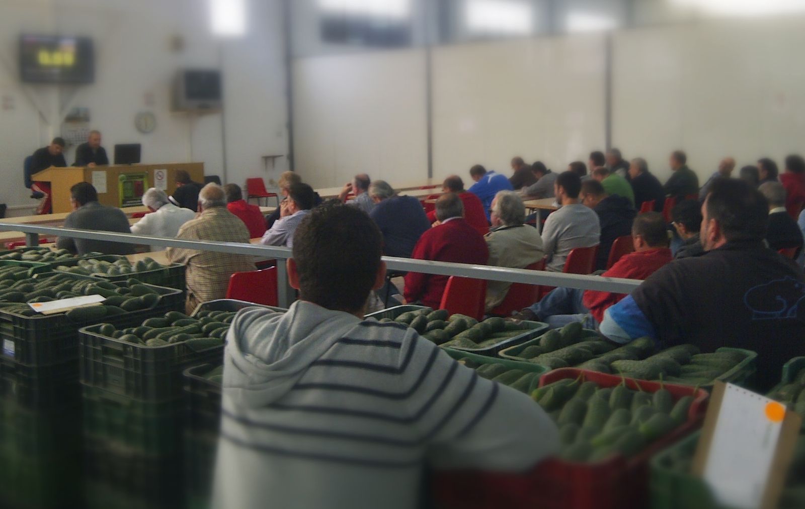 Imagen de una subasta en la provincia de Almería, donde se están registrando mejores precios en origen desde enero.