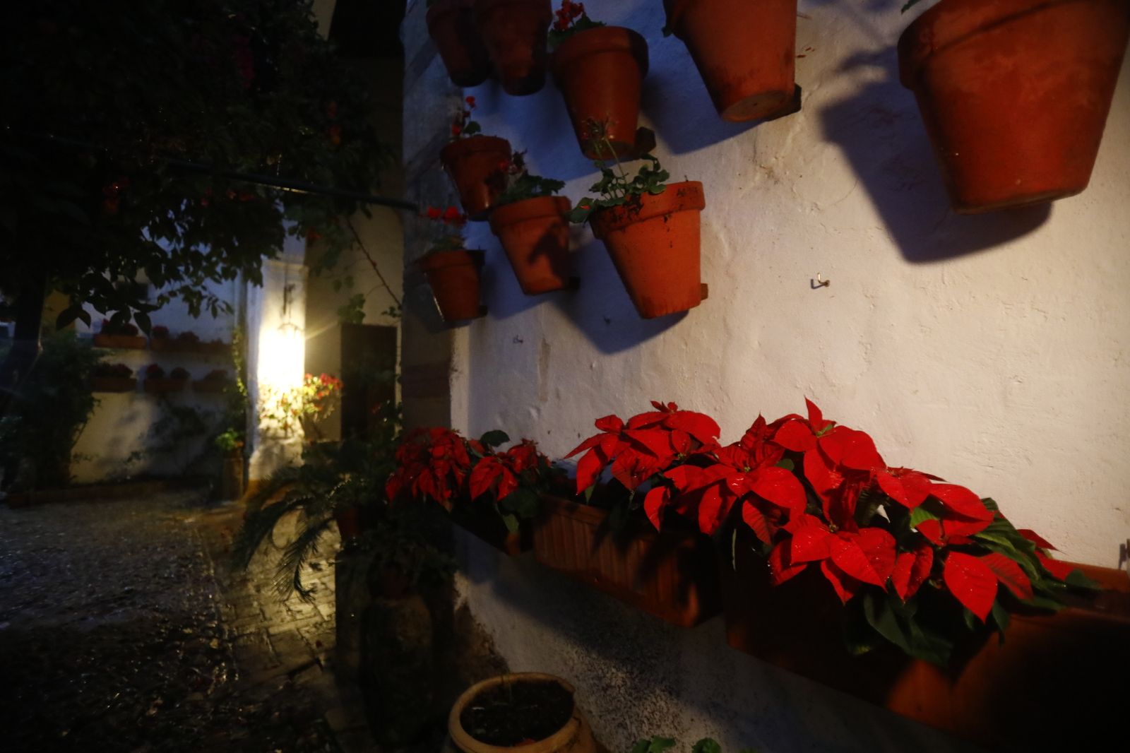 Los Patios de Córdoba abren por Navidad, en imágenes