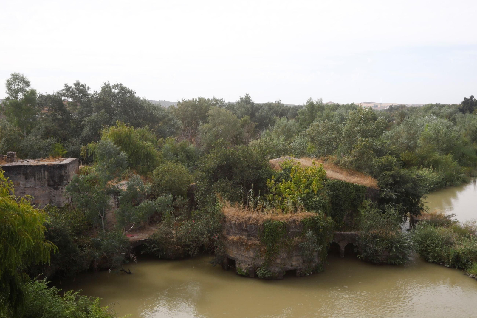 Las imágenes de los Molinos de Córdoba en el río Guadalquivir
