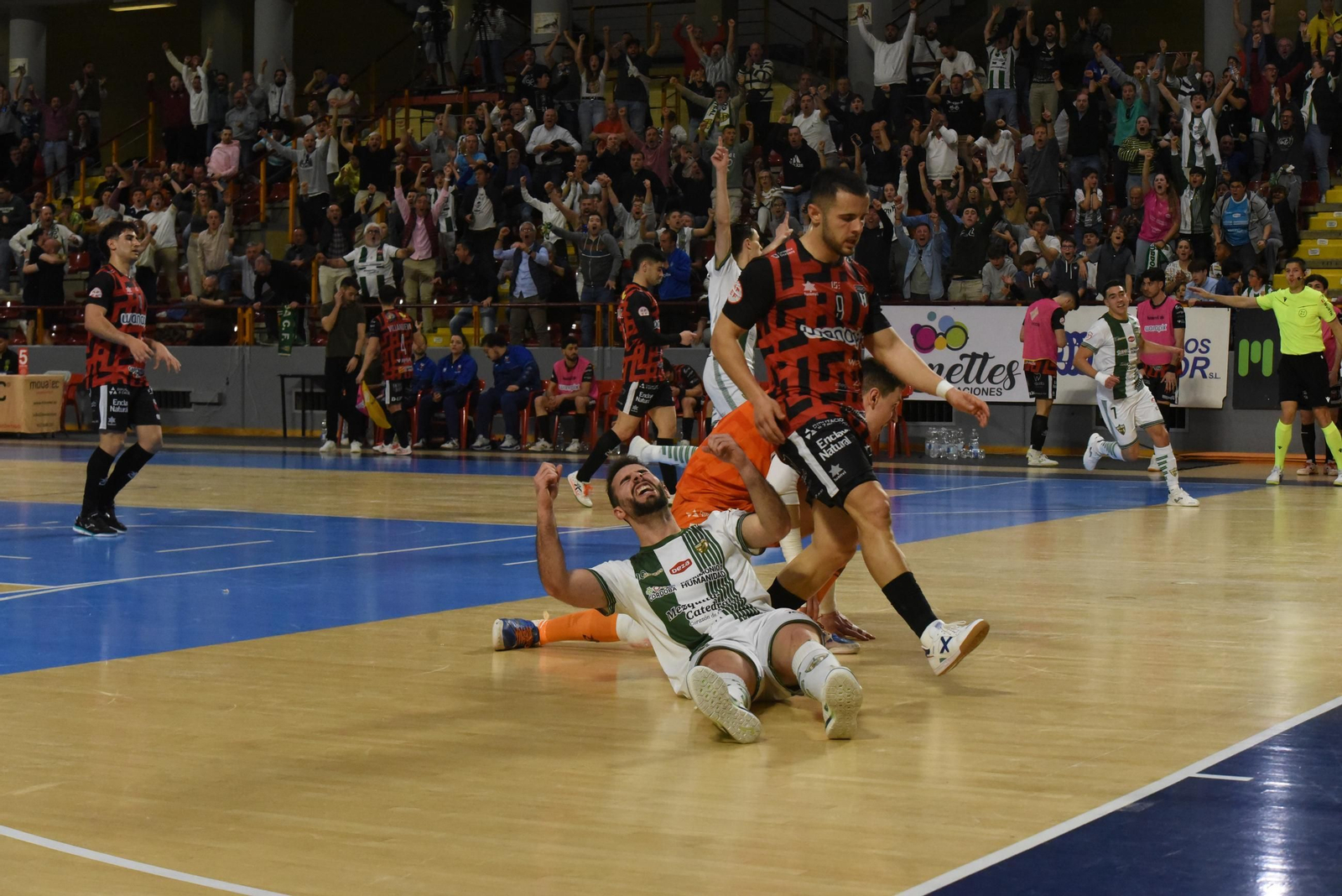 Las mejores fotos del ambiente en Vista Alegre para el Córdoba Futsal - AD Sala 10 Zaragoza