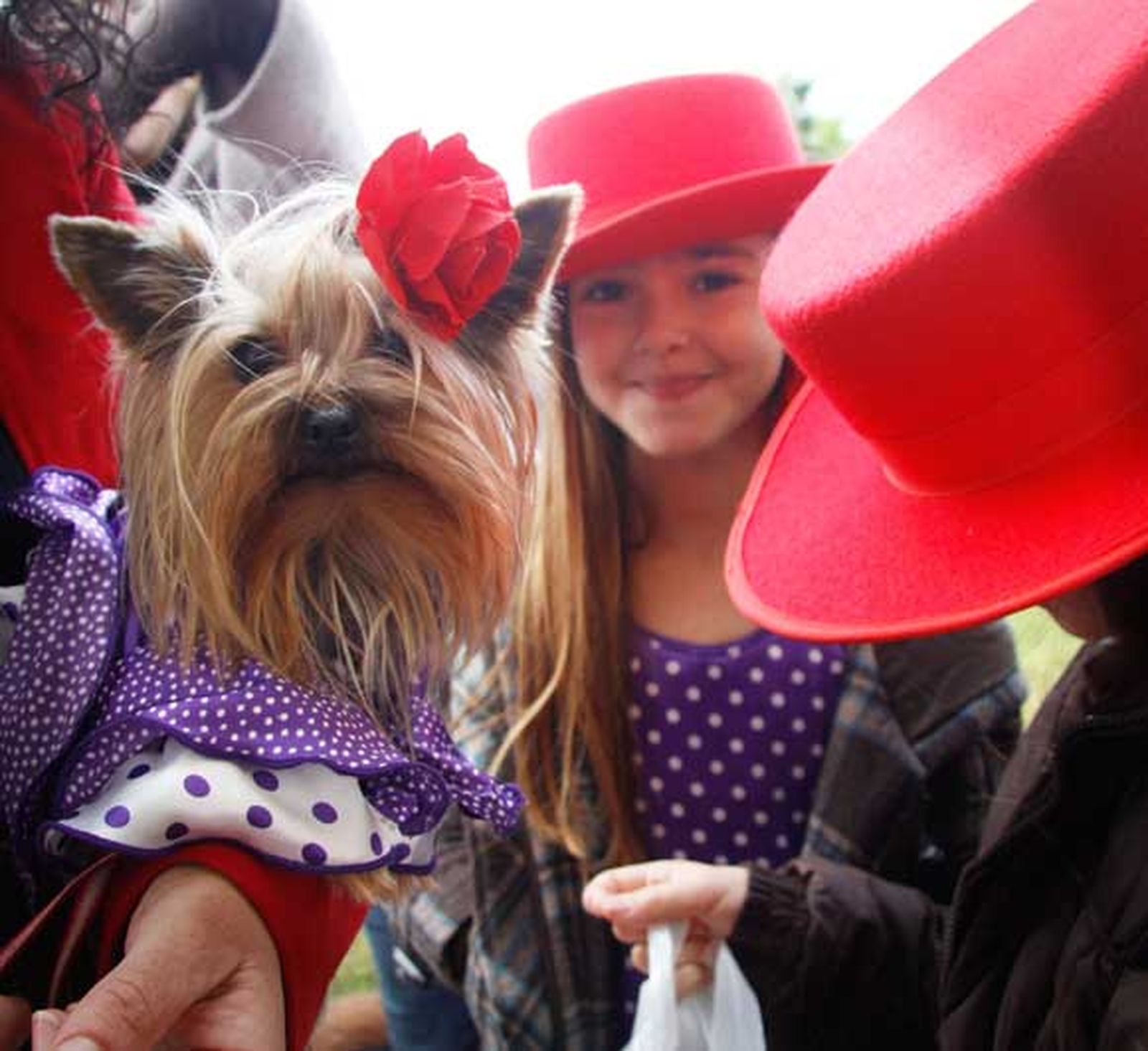 Celebración del día de San Antón en Chiclana

Foto: Sonia Ramos