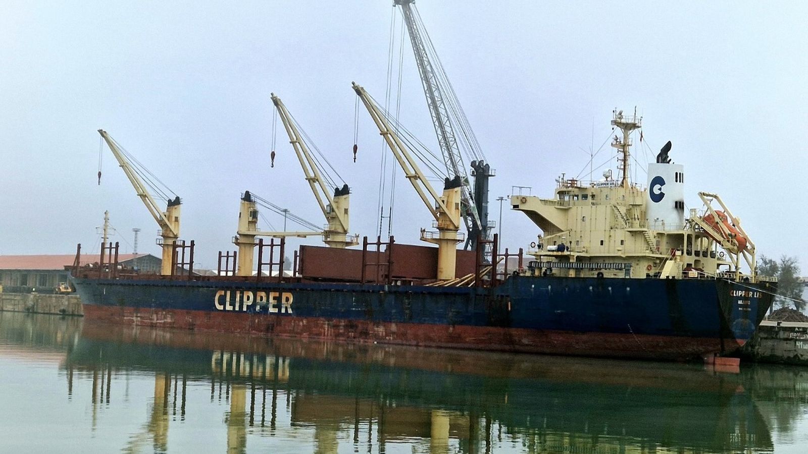 El buque de grandes dimensiones que ha traído el trigo panificable.