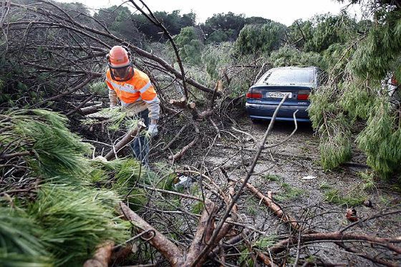 La lluvia y el viento causan múltiples destrozos en varias localidades de la provincia. 

Foto: Fito Carreto