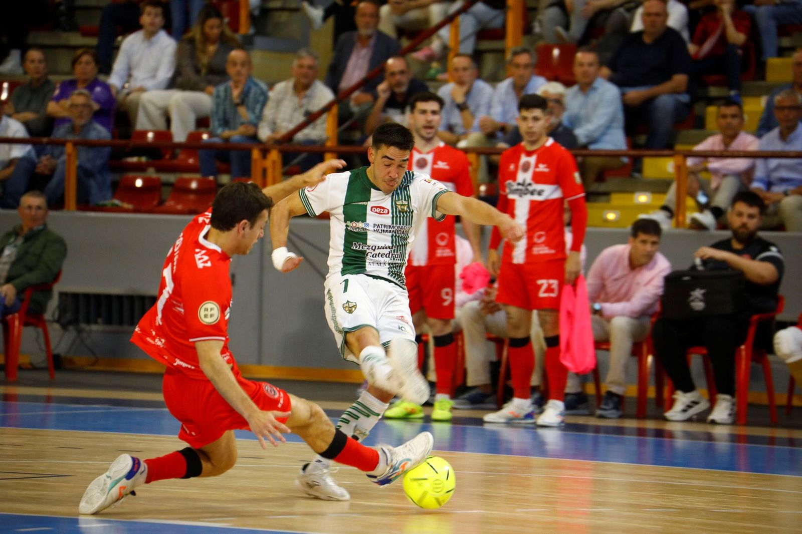 Las mejores fotos del ambiente en Vista Alegre para el Córdoba Futsal - Jimbee Cartagena