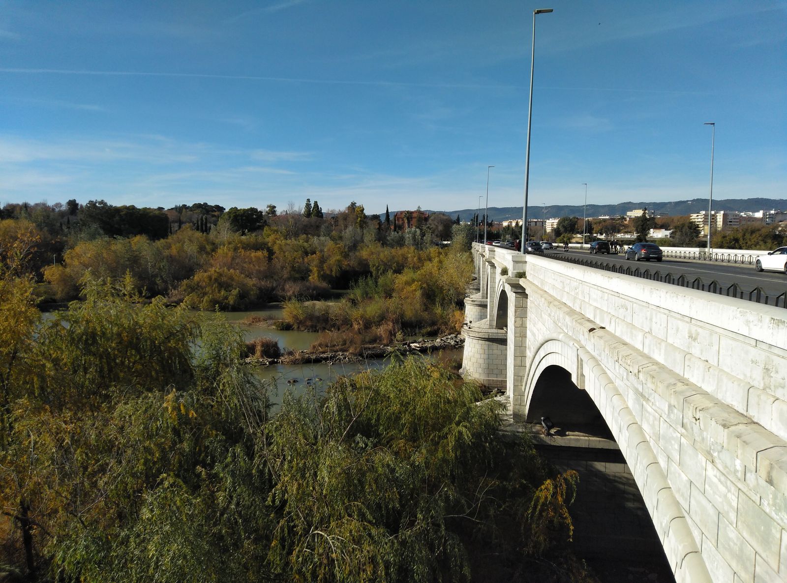 Vista genérica del Puente de San Rafael