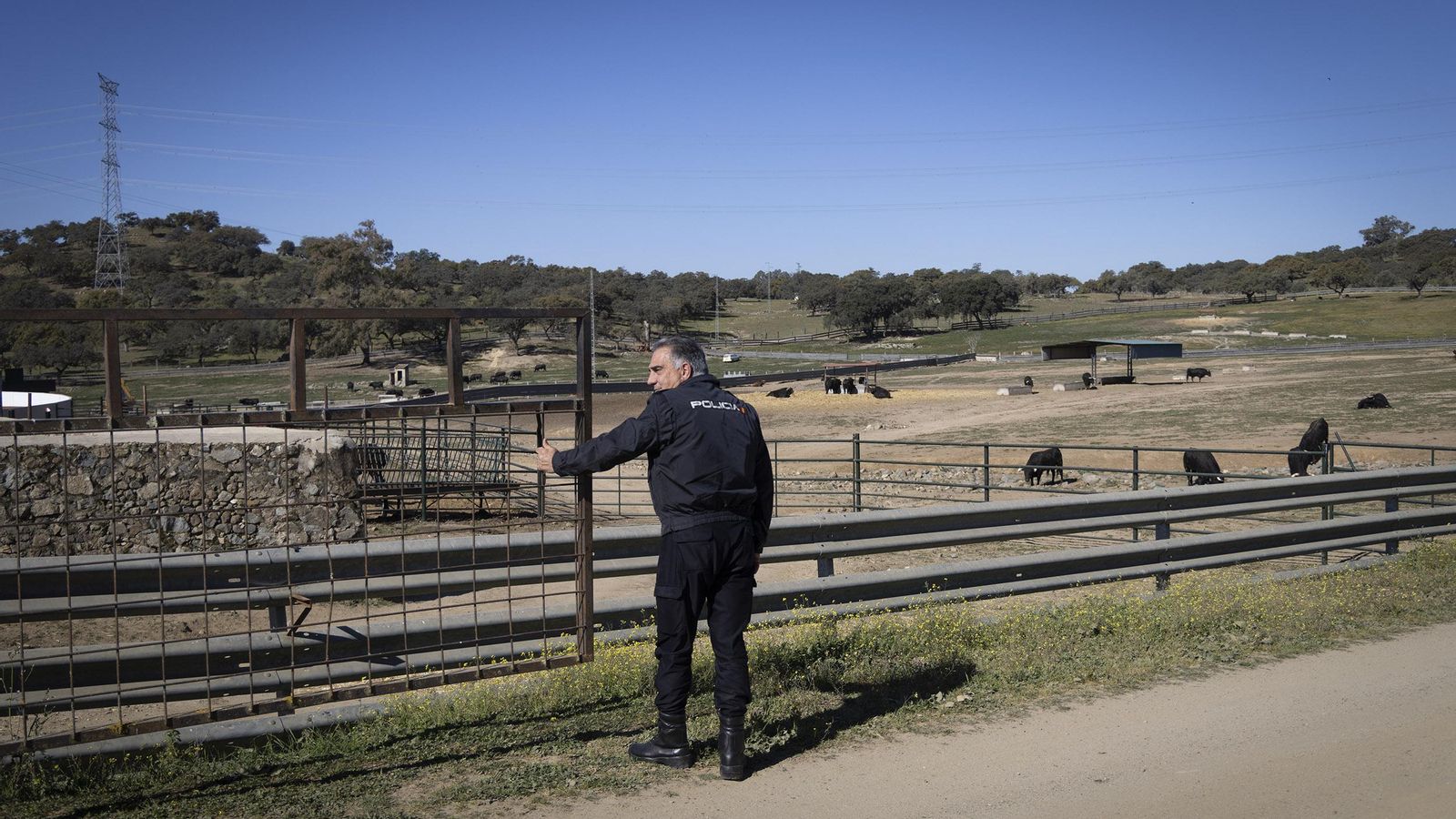 Paso por una finca de reses bravas.