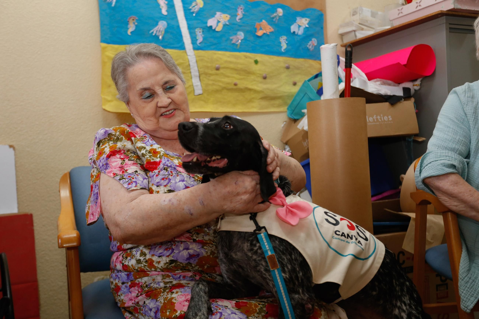 La visita de los perros de la protectora de Los Barrios a la residencia de mayores, en imágenes