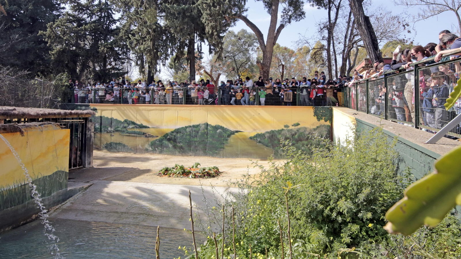 69 aniversario del Zoo de Jerez