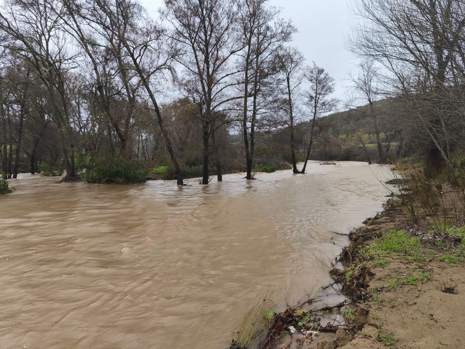 Río Múrtiga | Imagen de X @JaraRio