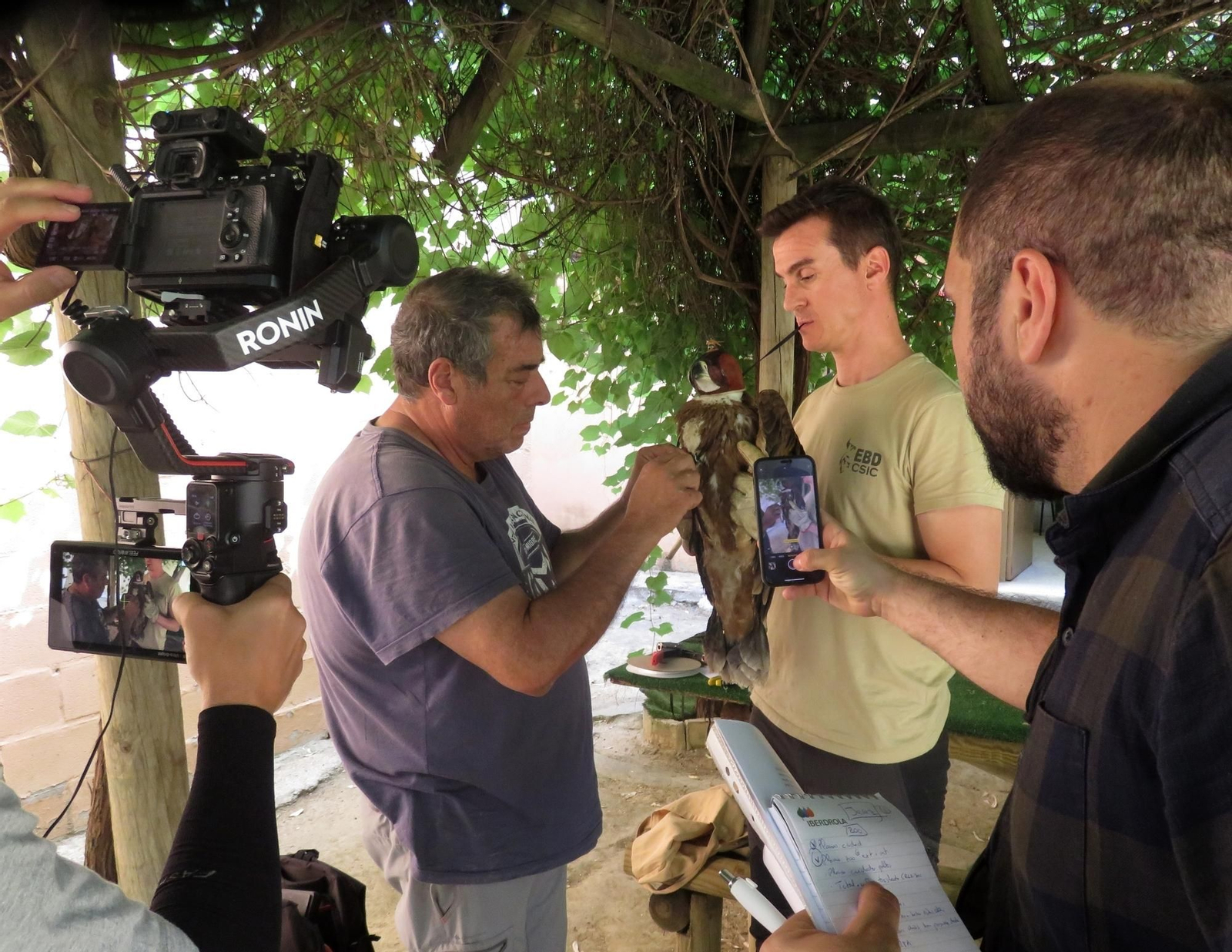 Varios trabajadores del zoo, junto a uno de los polluelos.