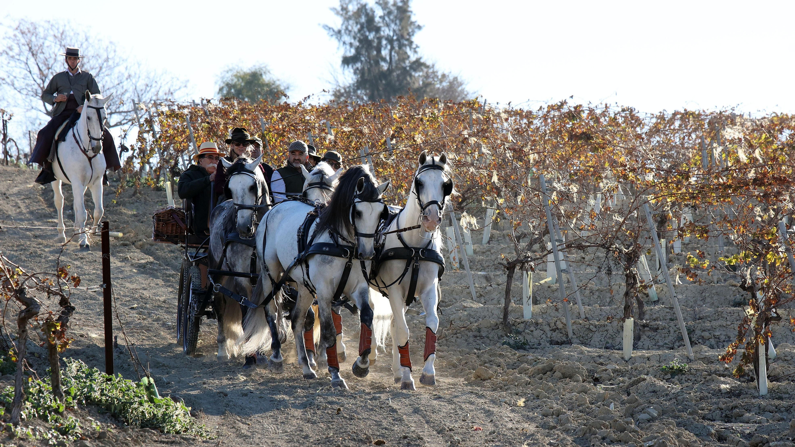 II Ruta Viñas de Jerez