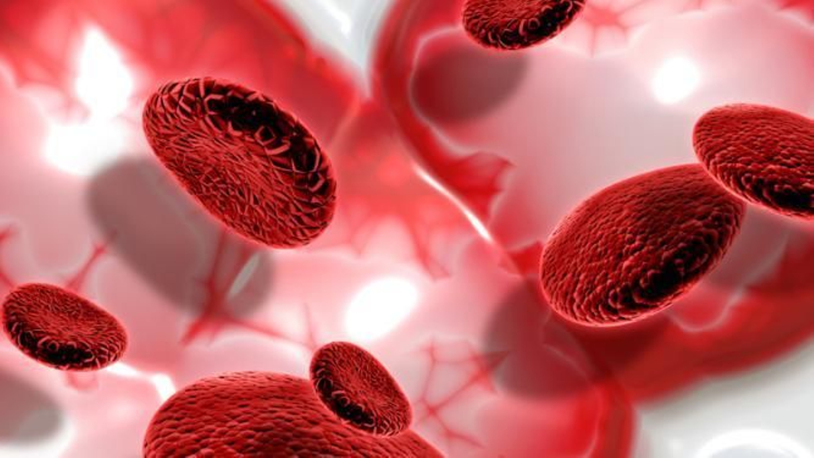 Células de sangre en 3D.