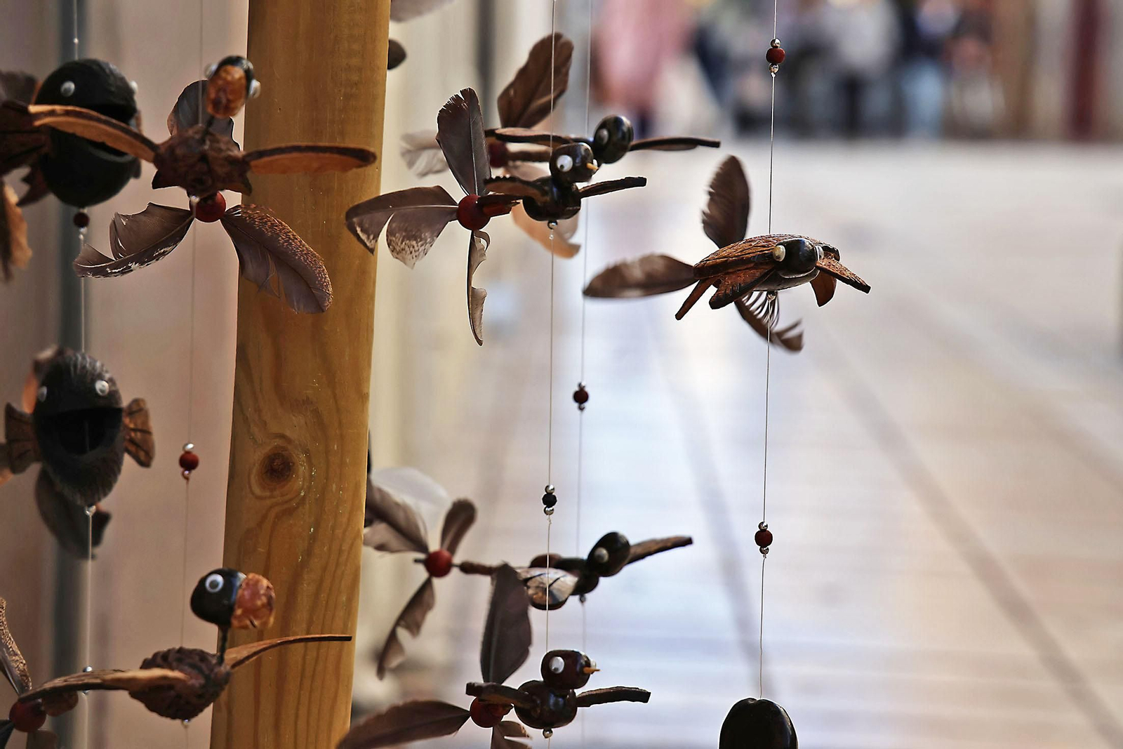 Las imágenes más destacadas del domingo 12 de enero en Huelva