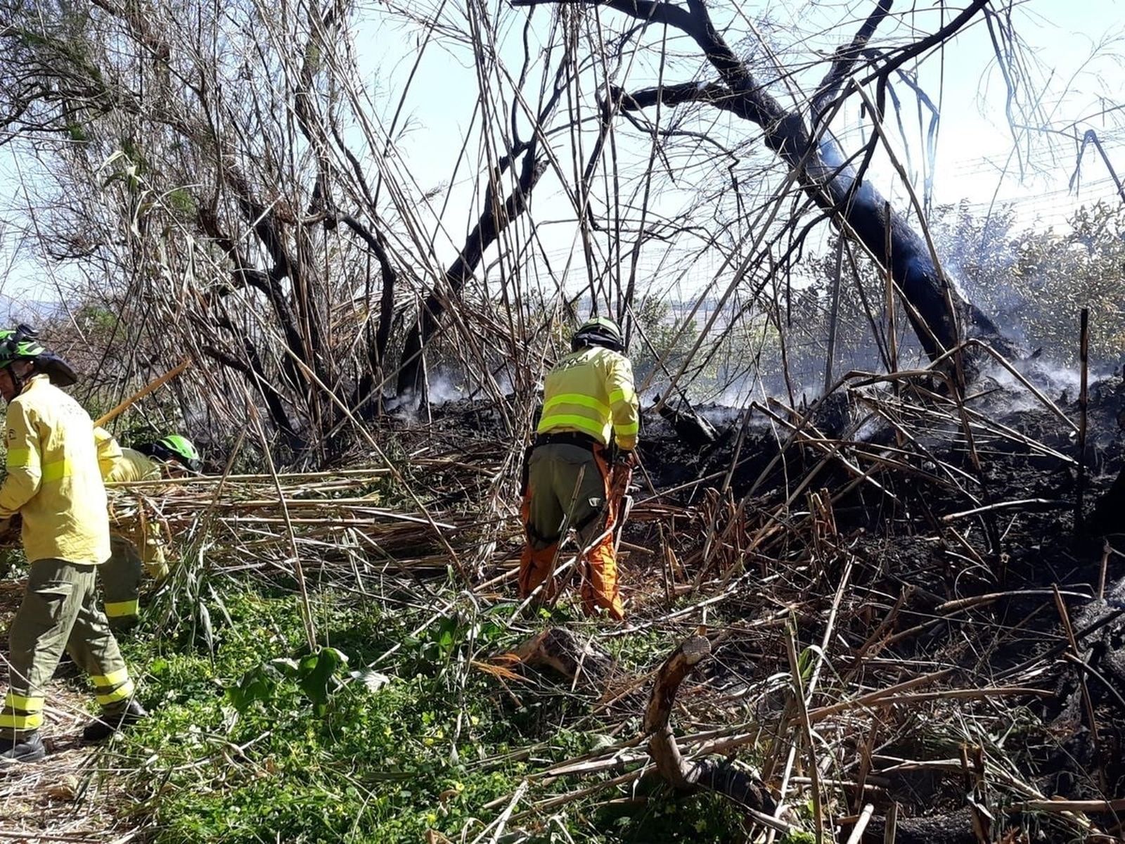 Bomberos trabajando en un incendio forestal, en una imagen de archivo.