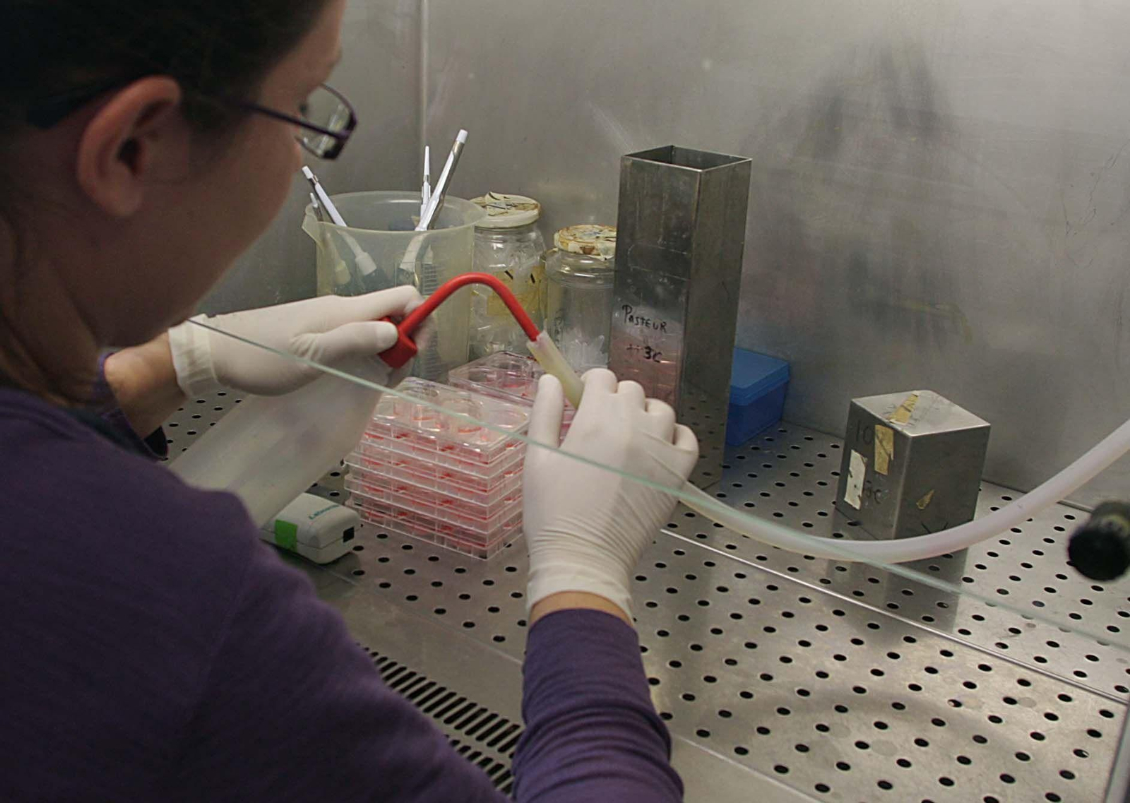 Imagen de archivo de una investigadora en el López-Neyra. Imagen de archivo de una investigadora en el López-Neyra.