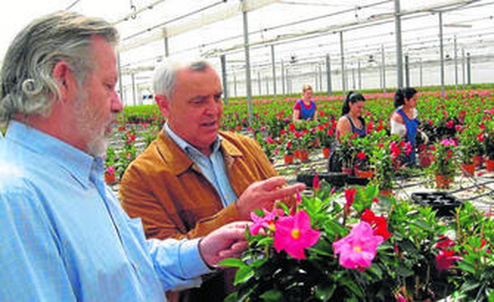 El delegado Juan Deus con el gerente de Laimund, Francisco Luque, en las instalaciones de la empresa en Níjar.
