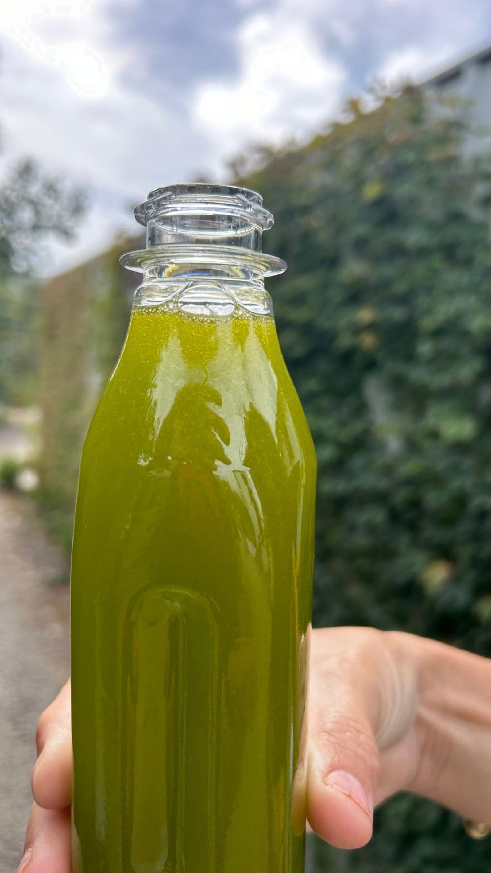 Aceite producción de Legado Andaluz