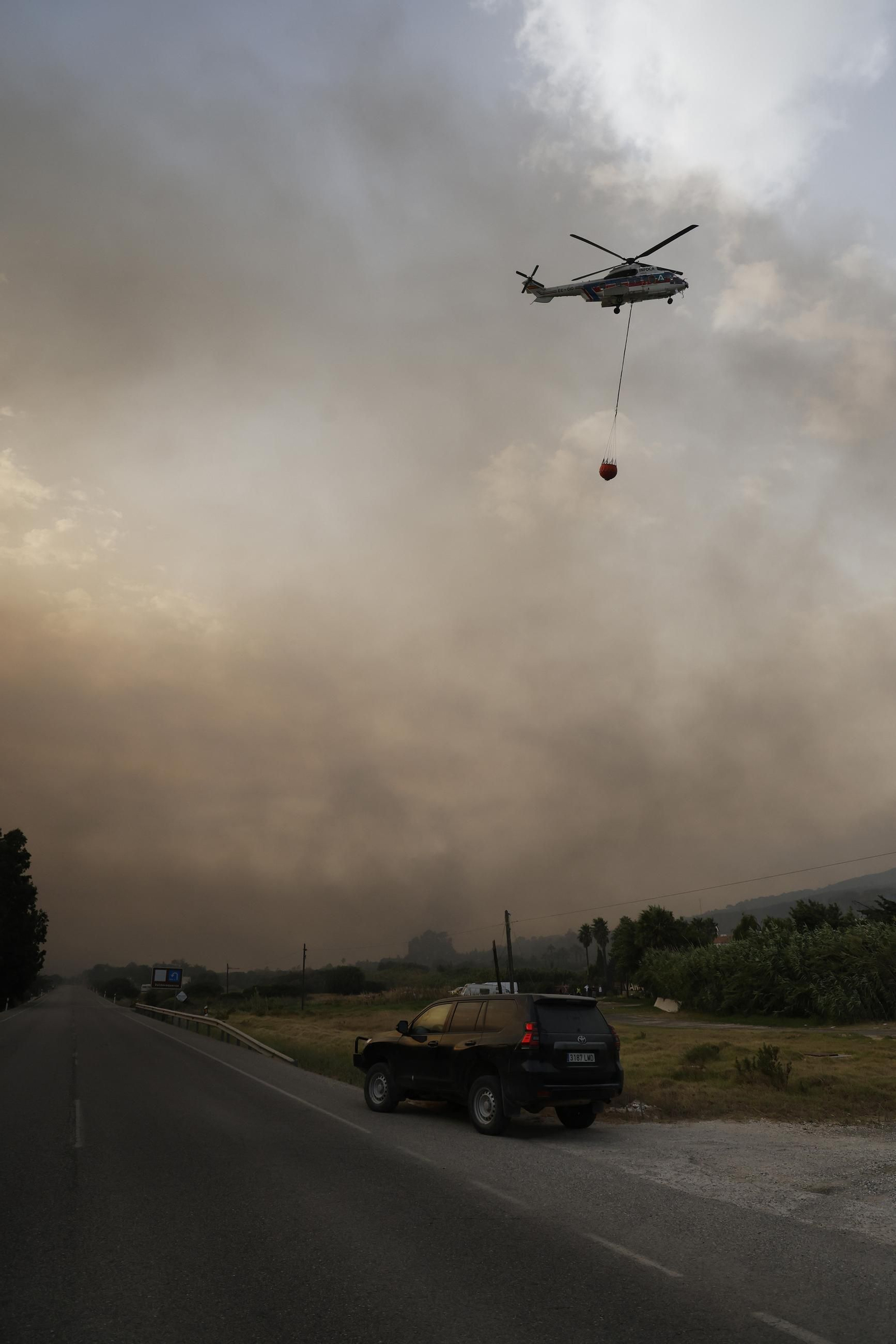 Las fotos del incendio forestal entre la Torre y Valdevaqueros en Tarifa