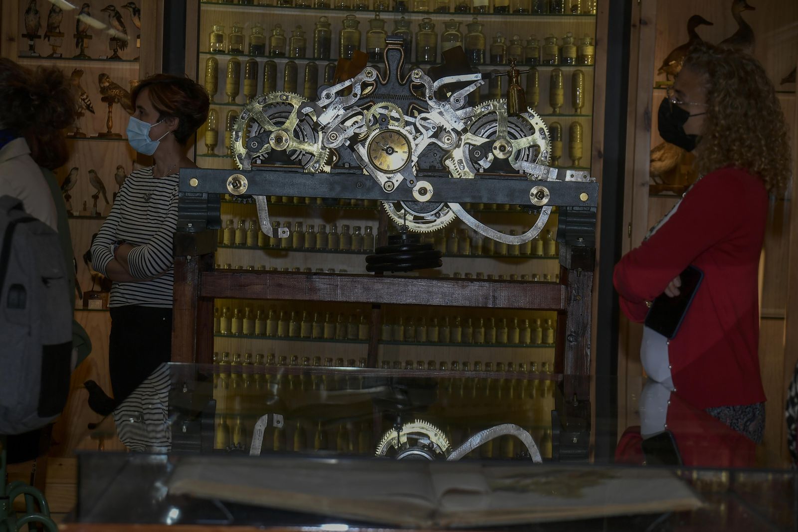 La inauguración del Museo de Ciencia del IES Padre Suárez de Granada, en imágenes