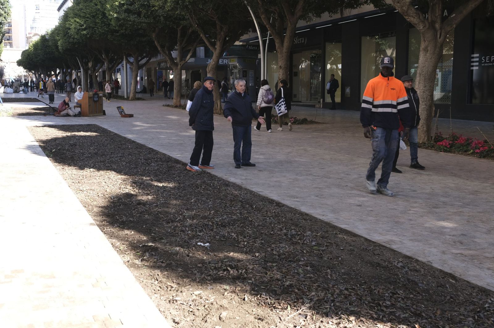 Las imágenes de la modificación de los parterres del Paseo de Almería