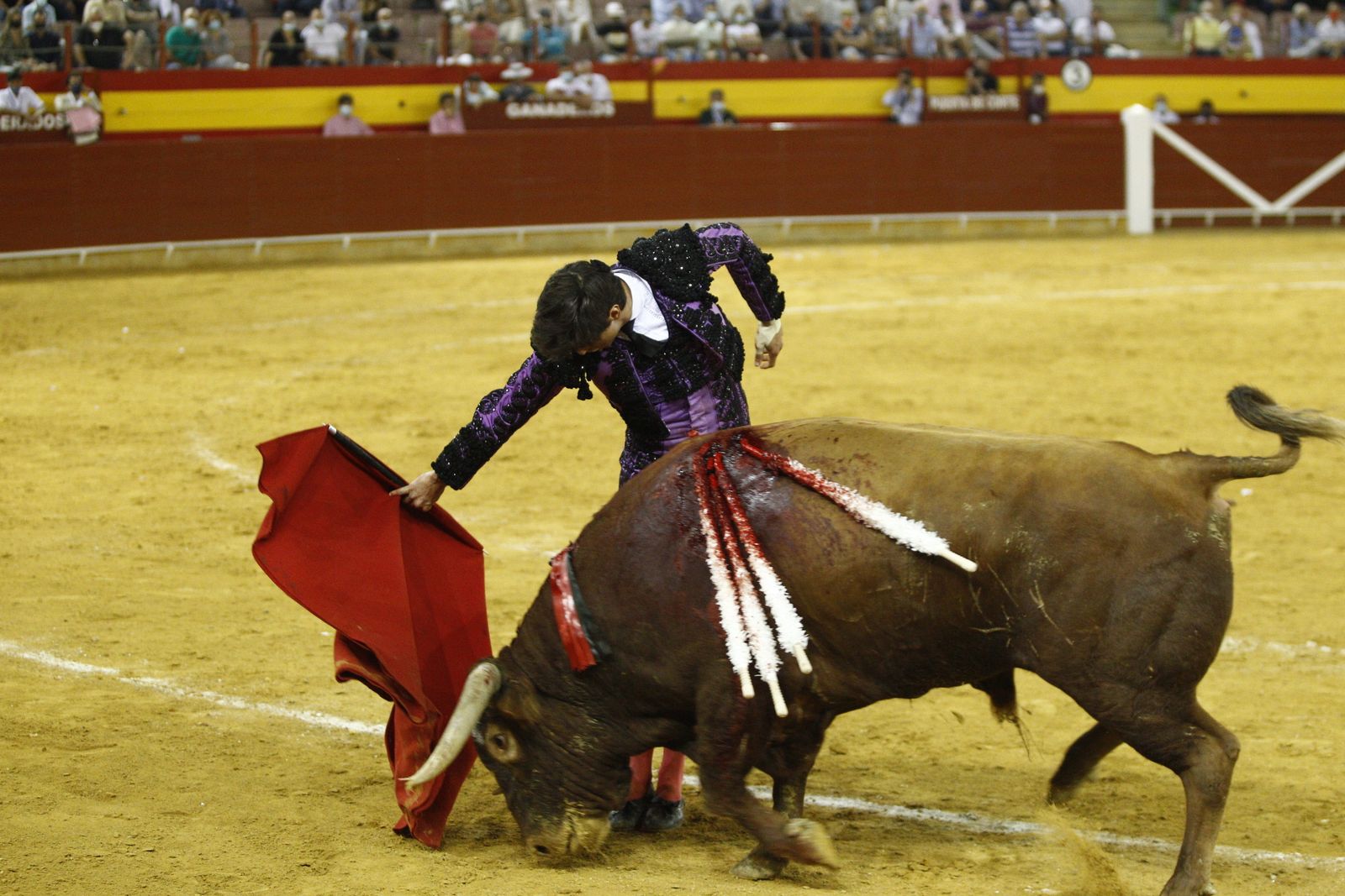 Fotogalería corrida de toros. Cayetano Rivera, Paco Ureña y Roca Rey. Roquetas de Mar.