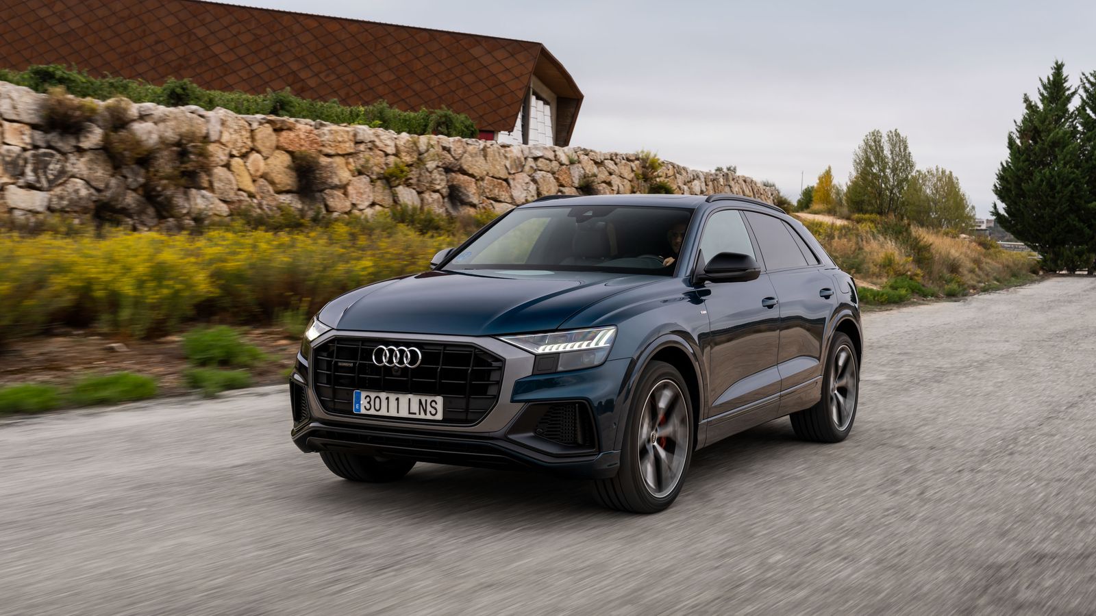 La máxima potencia la alcanzan los Q7 y Q8 en sus versiones 60 TFSIe quattro, con 462 CV gracias a su motor 3.0 TFSI.