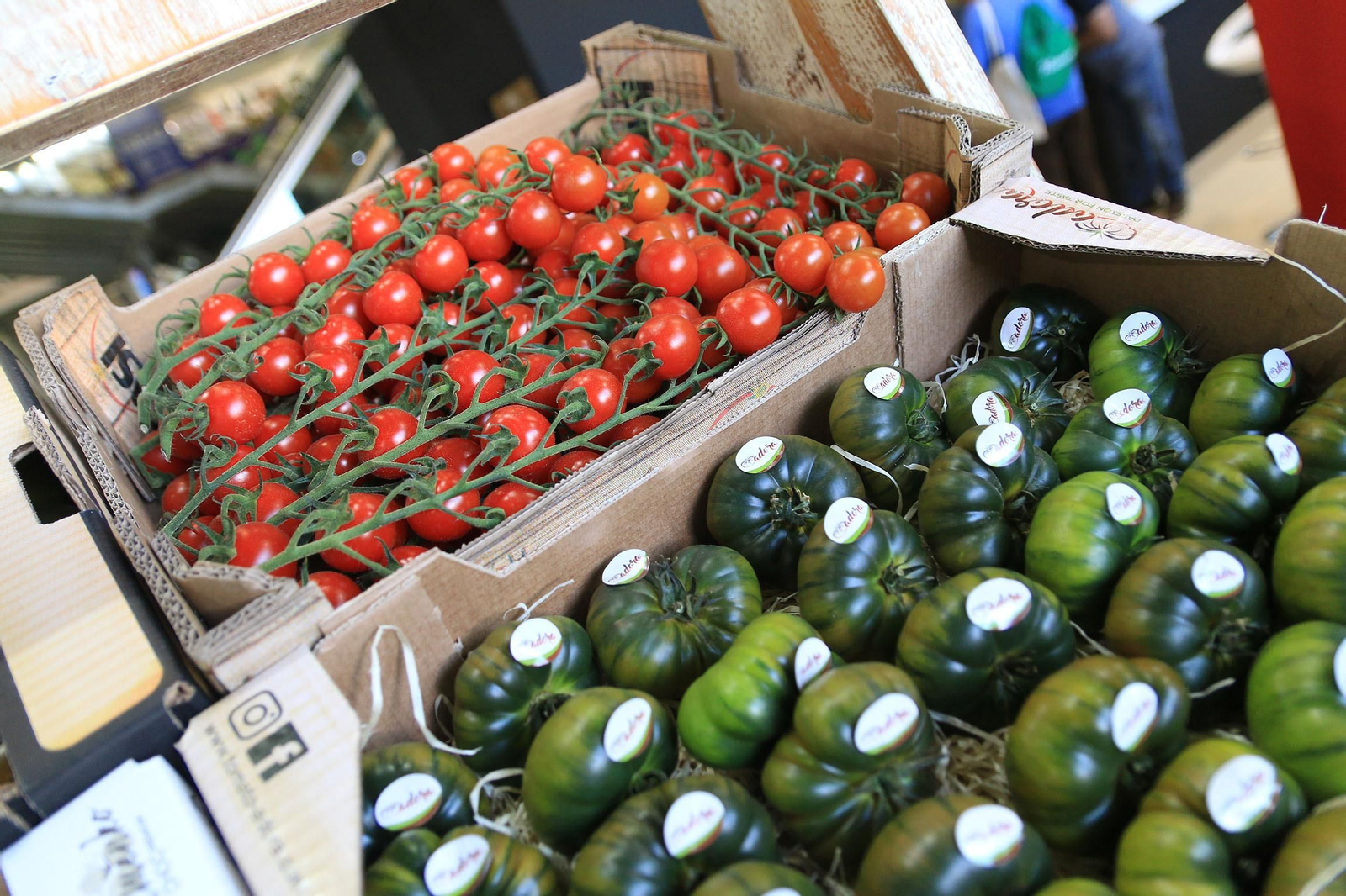 Inauguración de la Infoagro Exhibition 2023