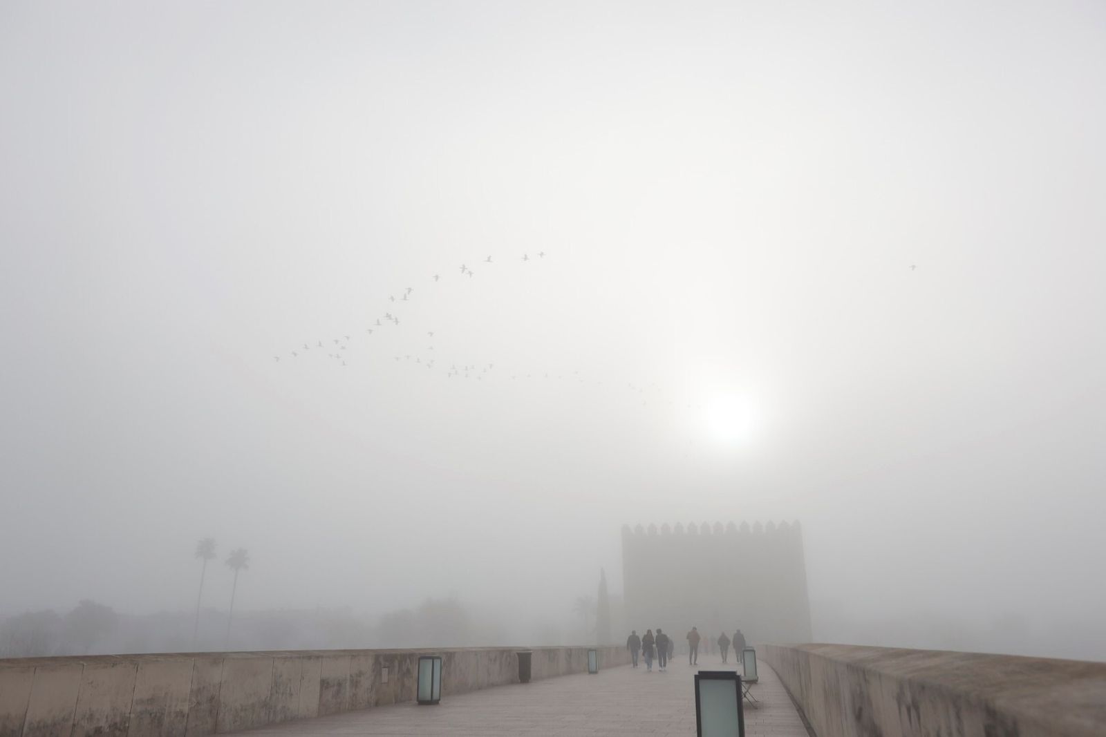 Córdoba comienza la semana cubierta de niebla, en imágenes