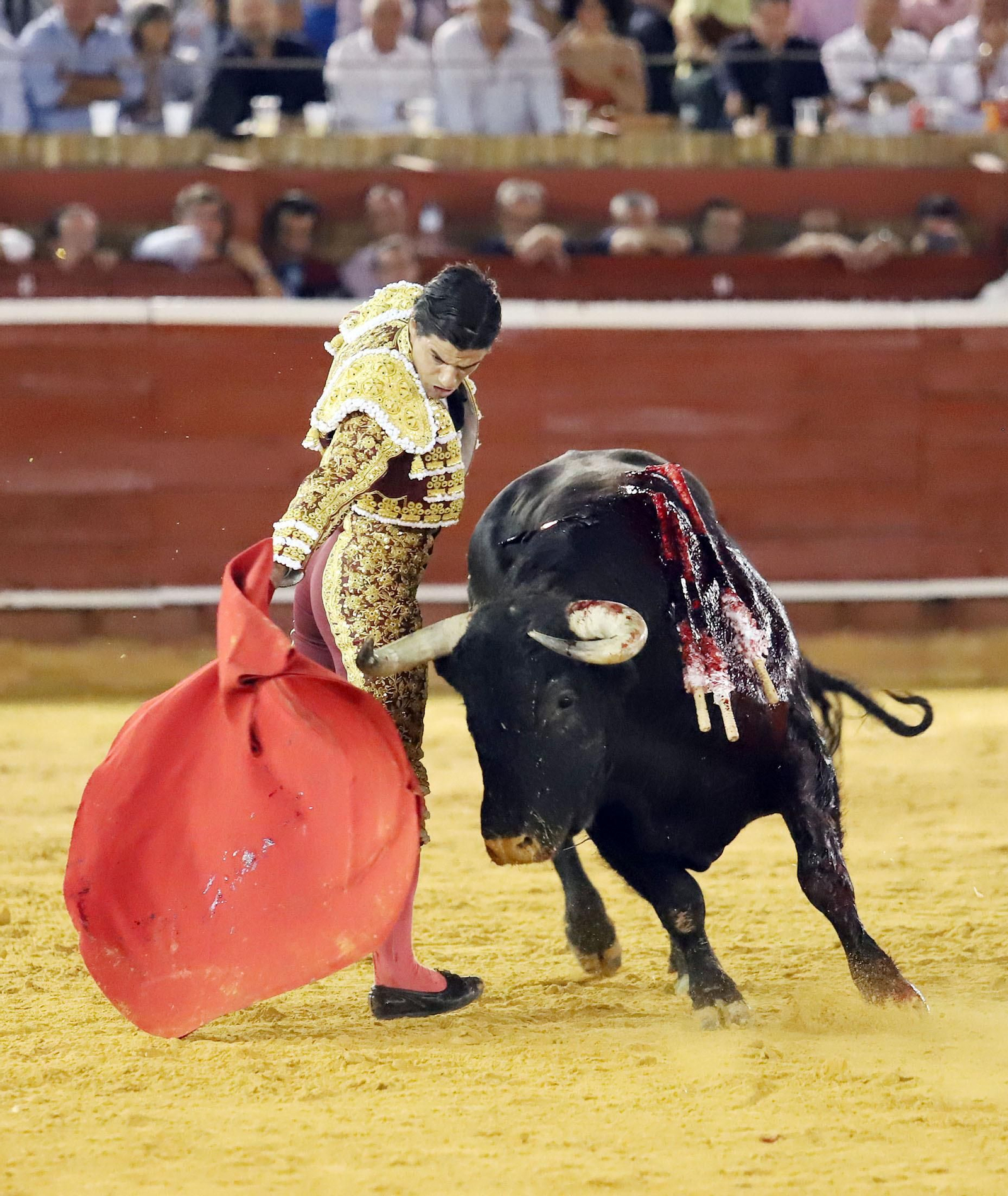 Imágenes de Morante de la Puebla, David de Miranda y Pablo Aguado en la Plaza de Toros La Merced