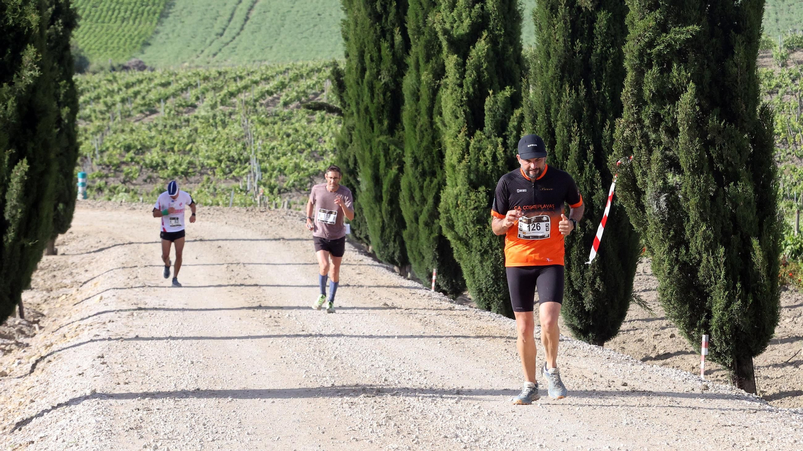 Búscate en la Sherry Maratón 2025 de Jerez (I)