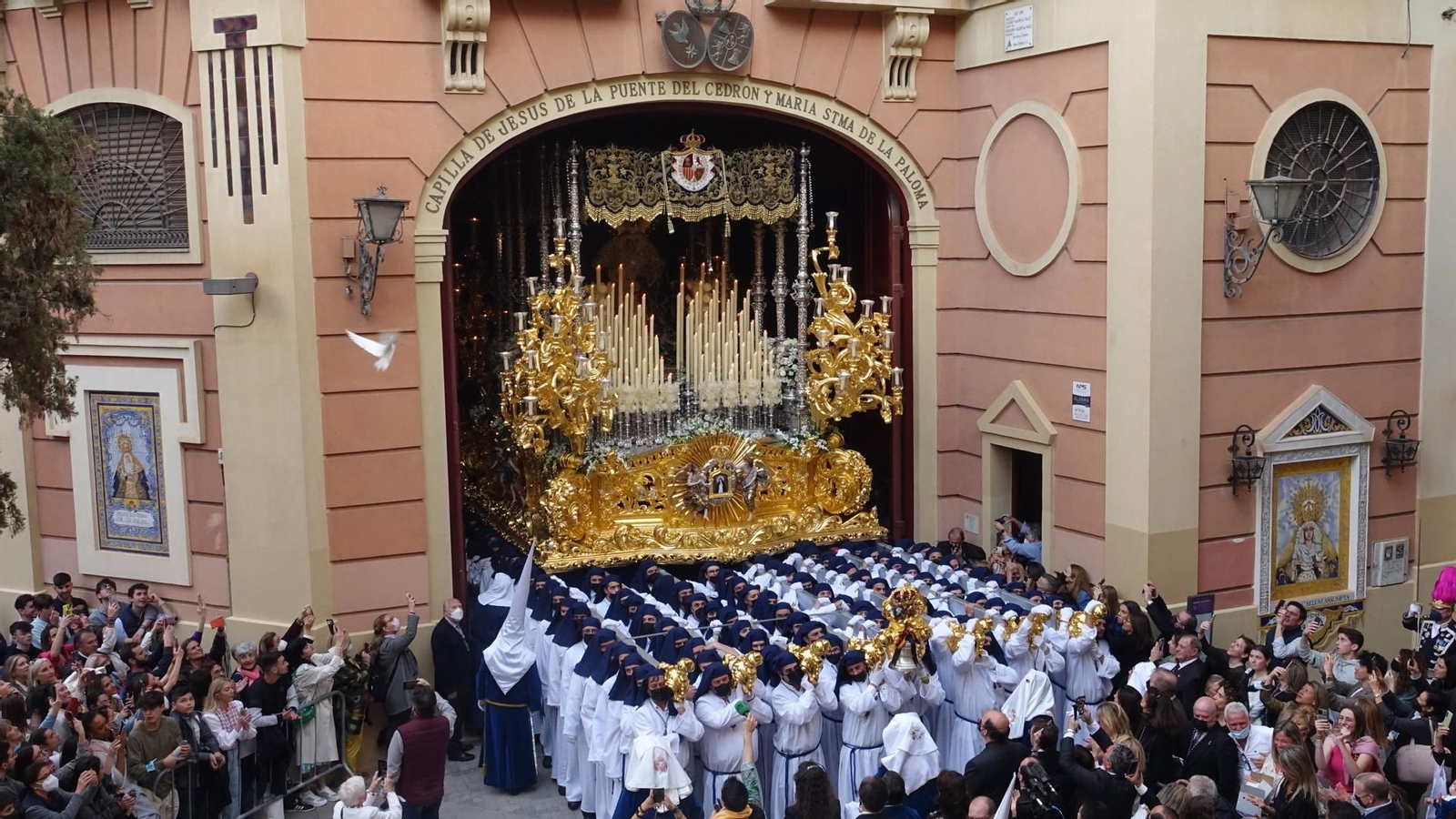 Las fotos de la Paloma, en el Miércoles Santo de Málaga