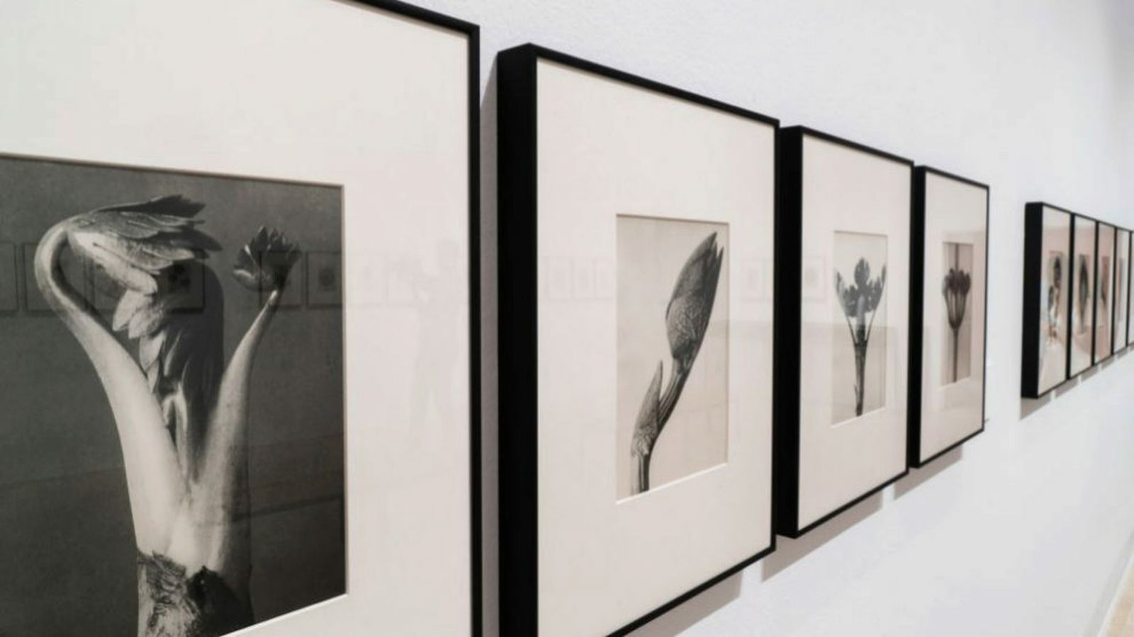 Uno de los rincones de la muestra.