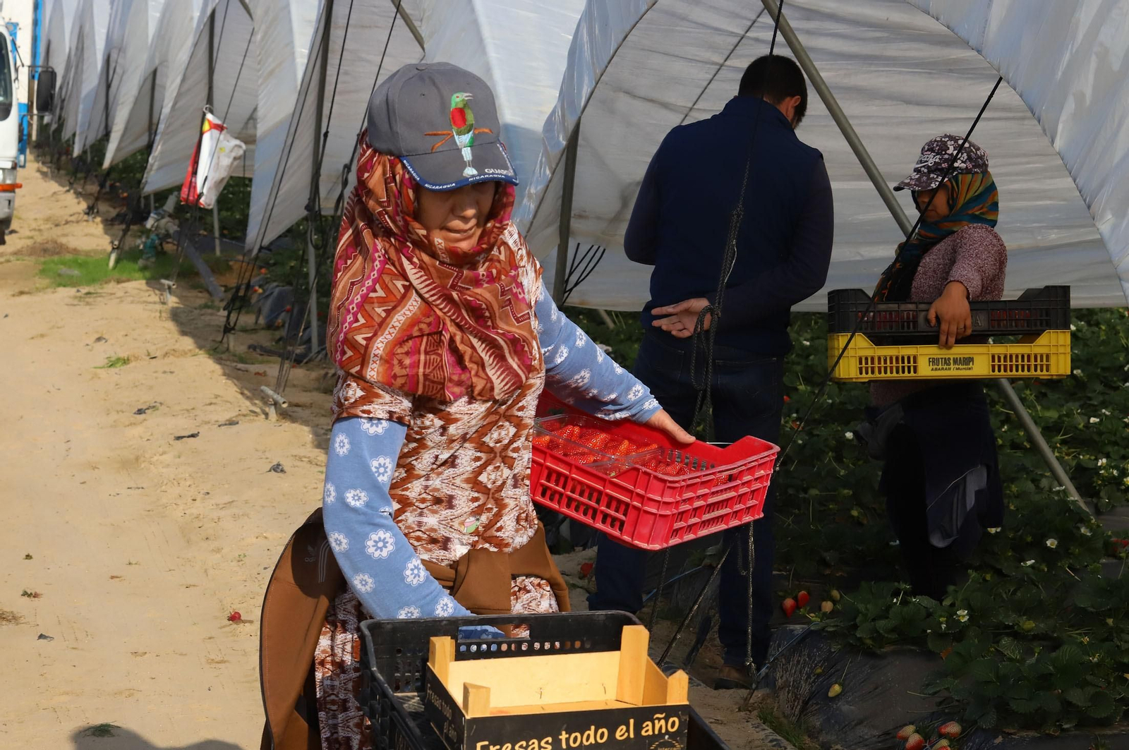 Imágenes de la realidad del trabajo en el campo