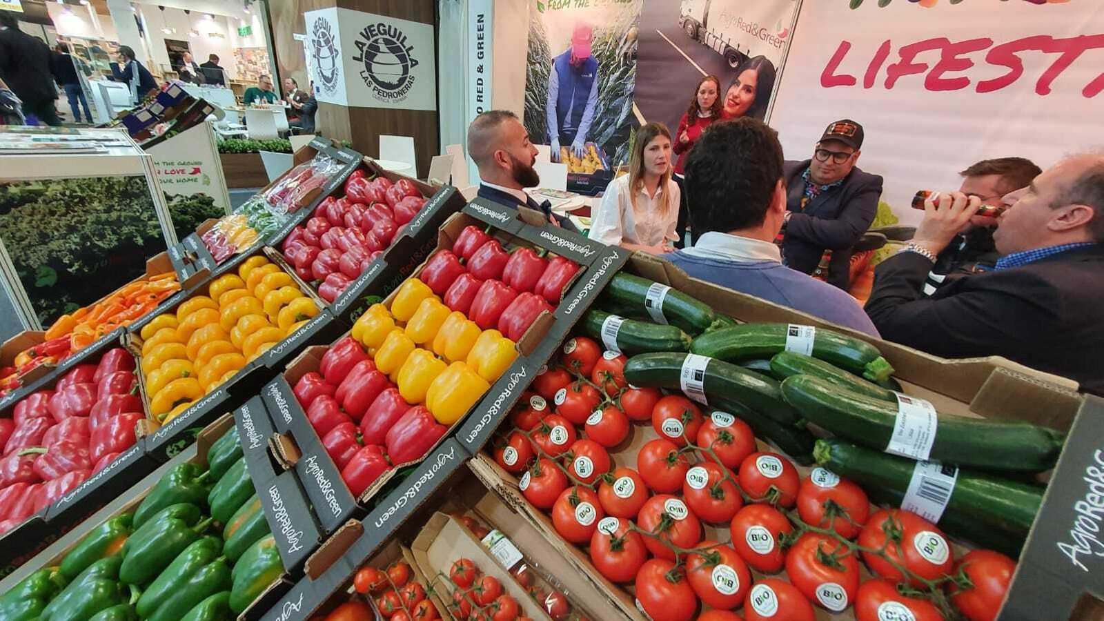 Pimientos, tomates y berenjenas.